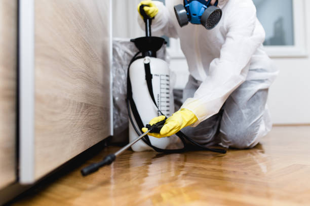 Best Exterminator Services  in Edneyville, NC