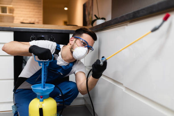 Best Best Pest Control Companies  in Edneyville, NC