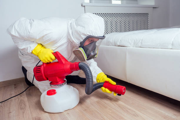 Trusted Edneyville, NC Pest Control Experts