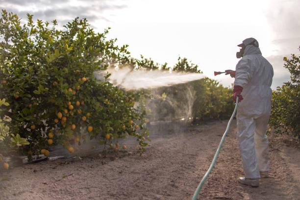 Best Emergency Pest Control  in Edneyville, NC