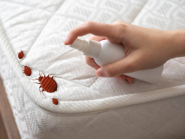 Best Pest Removal Services  in Edneyville, NC