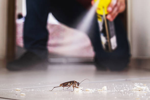 Best Residential Pest Control  in Edneyville, NC