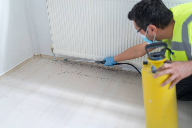 Best Bed Bug Extermination  in Edneyville, NC