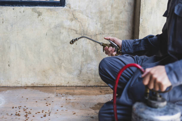 Professional Pest Control in Edneyville, NC